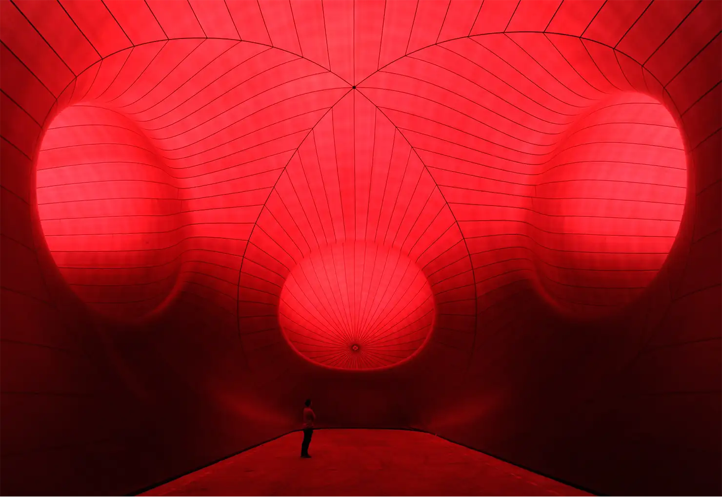 Oeuvre LEVIAHTAN de Anish Kapoor